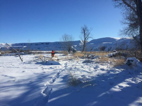 Teton River property 