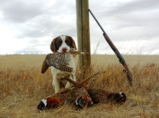 Royal Payne shows off his day's catch from public lands in 2012